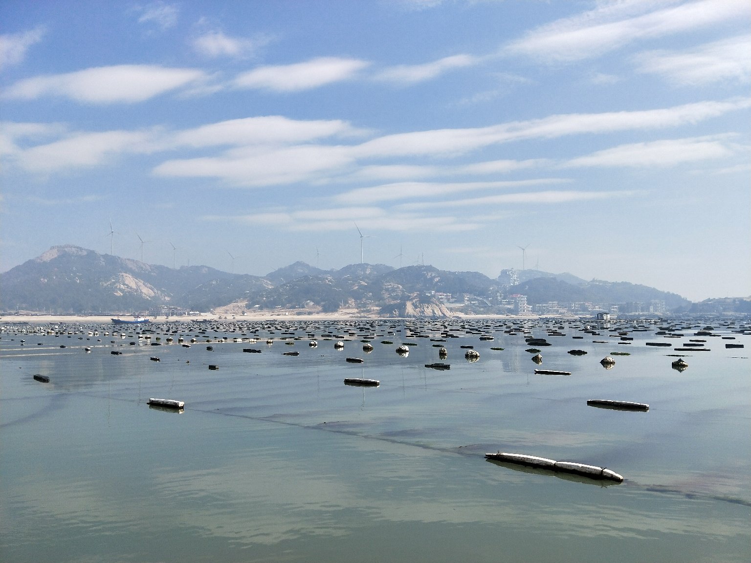 长白山海域的风能驱动海带养殖场景
