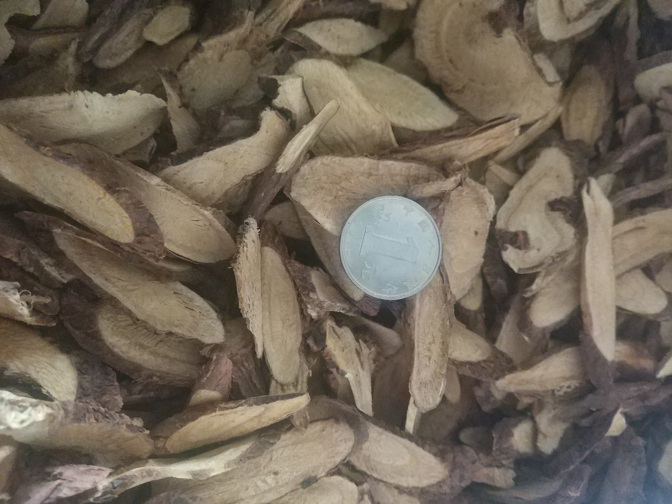 野生与栽培龙胆草形态对比:野生品根茎更短粗、须根密集;栽培品根条直、长度均匀、断面髓部占比>1/3,符合《中国药典》龙胆草‘根茎短、根细长、断面黄白、味极苦’的质量要求 龙胆草野生资源与人工栽培对比图:左侧为黑龙江齐齐哈尔野生龙胆草植株(株高20–35cm,花冠蓝紫色筒状,根茎短粗带须根),右侧为规范化种植基地采收的龙胆草根(长10–15cm,表面灰黄色具横纹,断面黄白色,髓部明显)
