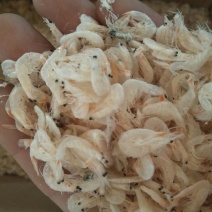 虾皮500g野生虾皮