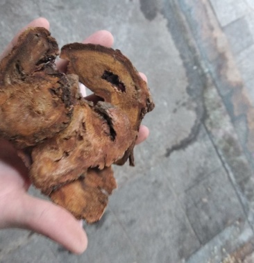 [大黄批发]大黄 大片各规格级别过检马大黄甘肃马大黄价格10.