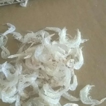 虾皮