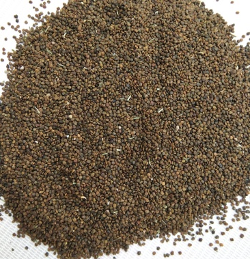 00元/斤 - 一亩田