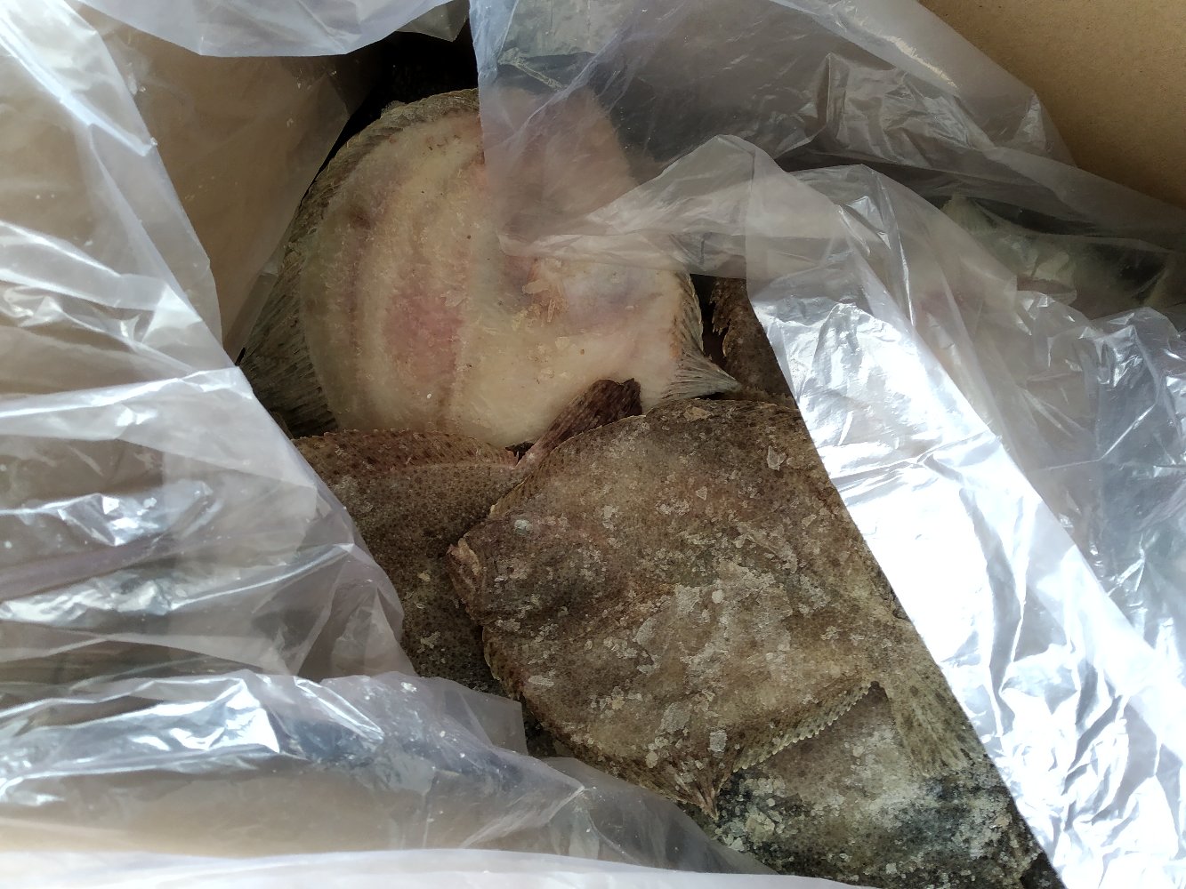 多宝鱼在不同储存条件下的对比示意图