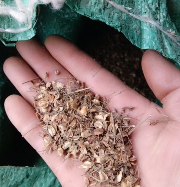 [当归批发]当归籽价格280.00元/斤 - 一亩田