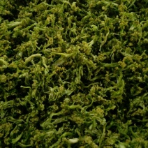 贵族精品花菜干