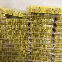 金丝皇菊
