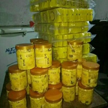 金丝皇菊