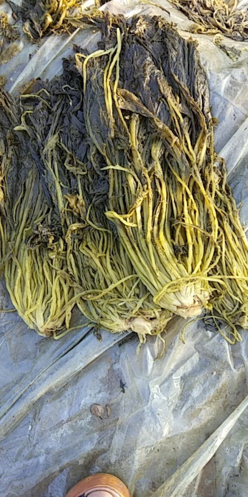 泗阳润迪商贸:探寻商业增长的新途径