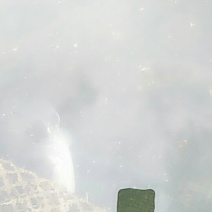 大口鲶