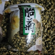 桐乡胎菊王