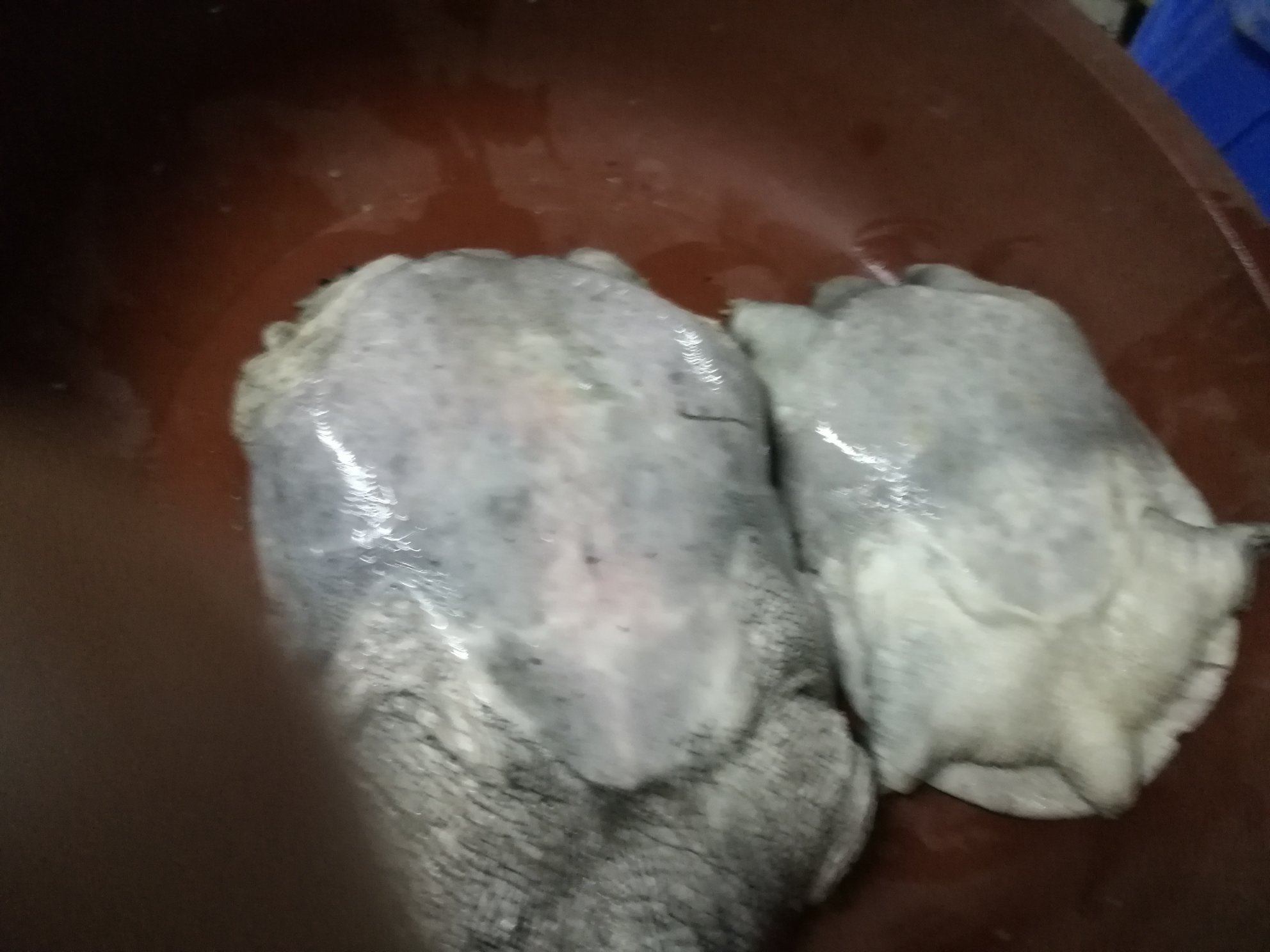 甲鱼与独头蒜的搭配