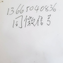 白糖