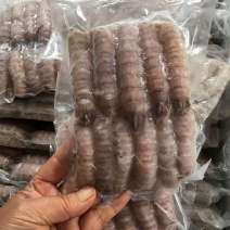 渤海弯爬虾肉皮皮虾肉虾爬子赖尿虾琵琶虾包饺子肉