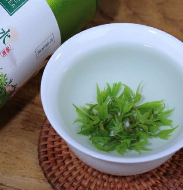 [海青绿茶批发]特级绿茶青山绿水也称小叶苦丁茶,叶底鲜绿,入口微苦转