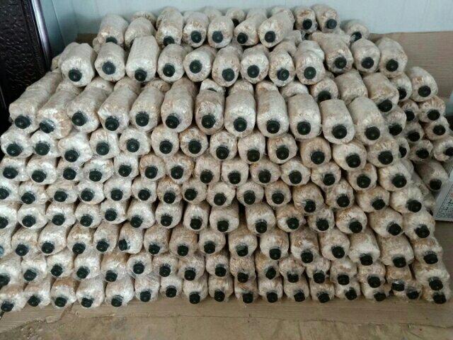 图片展示萝卜子在药用(如中药材包装)与种植(如播种场景)中的不同用途 萝卜子药用与种植用途展示图