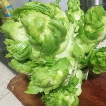 精品儿菜