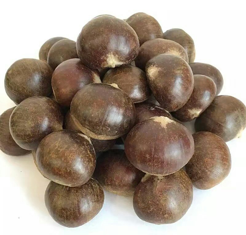 生板栗营养成分分析图,展示维生素与矿物质含量分布 生板栗营养成分分析图