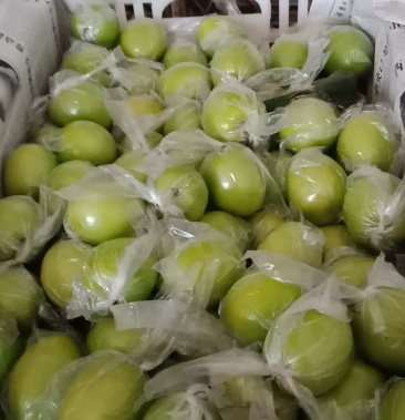 新春特惠台湾蜜丝枣脆甜青枣产地直发量大从优视频看货