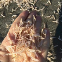 虾皮干