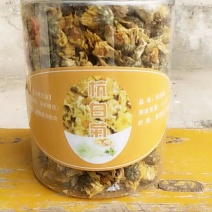 杭白菊