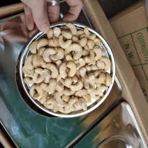 越南腰果ww240