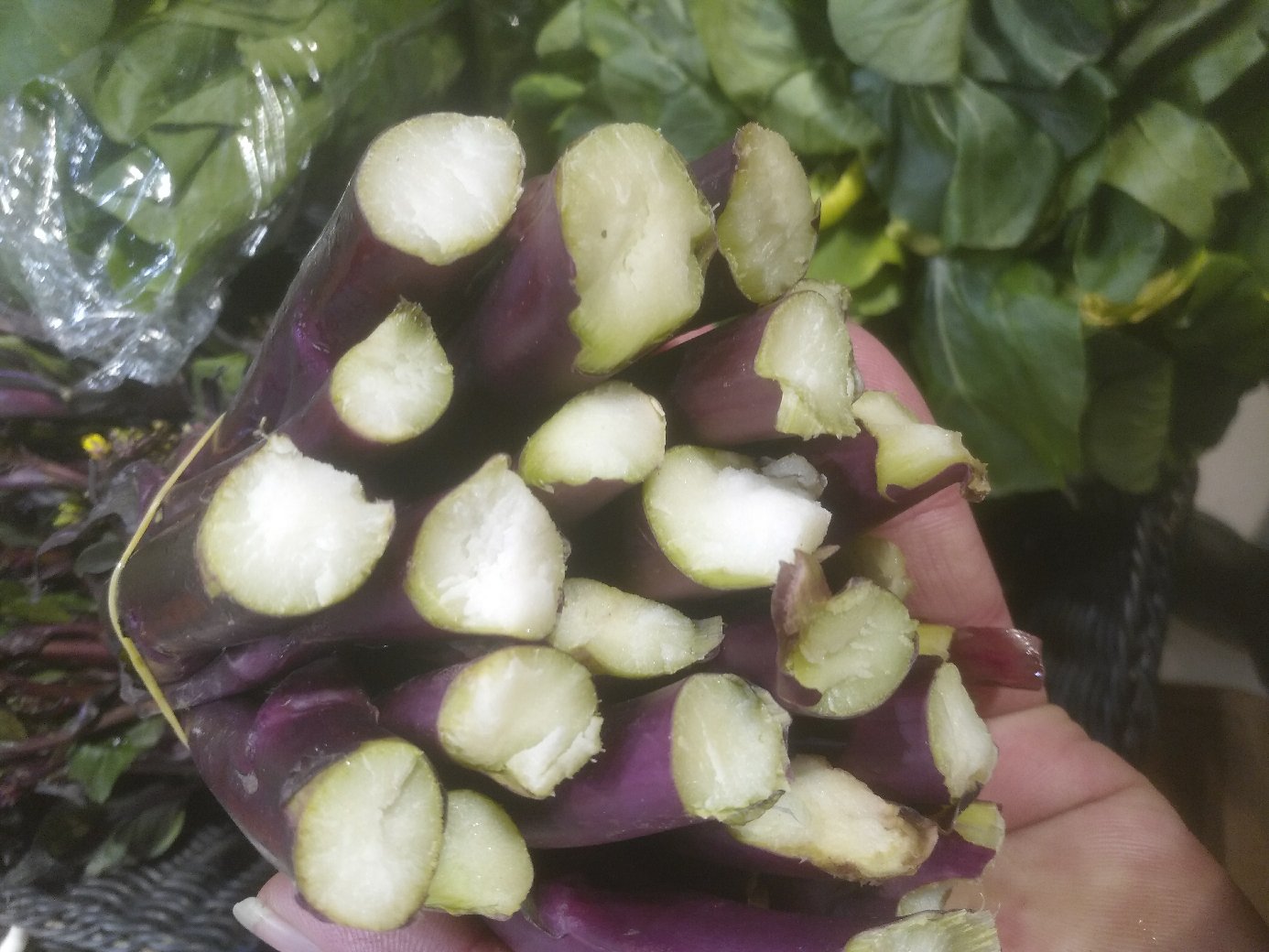 一位厨师正在厨房操作台上对一根紫红色的红菜苔进行去皮处理,左手固定菜苔,右手从顶部开始撕下外层紫色纤维皮,露出内部洁白脆嫩的茎芯,背景为整洁的厨房环境,光线明亮自然 红菜苔去皮过程特写