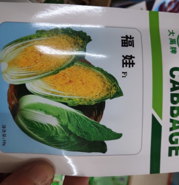 15级12万访客2953沟通58人买过3168元订单总额商家其他商品儿菜种子正