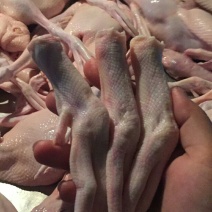 白条鸭，