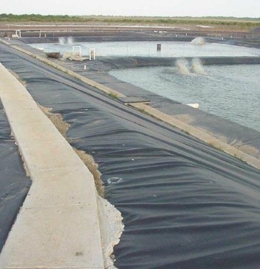 鱼池防渗膜藕池防渗膜