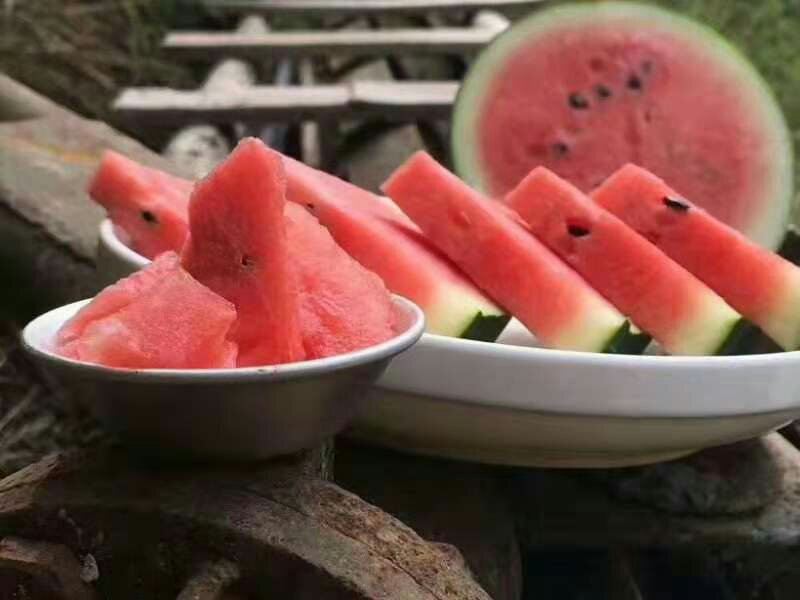 一盘精心摆放的黑美人西瓜块,果肉鲜红饱满,表面晶莹多汁,每块呈三角状整齐排列于白色瓷盘中,旁边点缀几片新鲜薄荷叶,背景虚化的餐桌上还有饮料杯和阳光投影,营造夏日清凉氛围 切好的黑美人西瓜摆盘特写,配以薄荷叶装饰