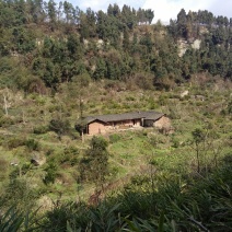 宅基地出租