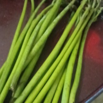 蕨菜