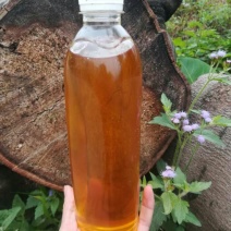 野生山茶油（）