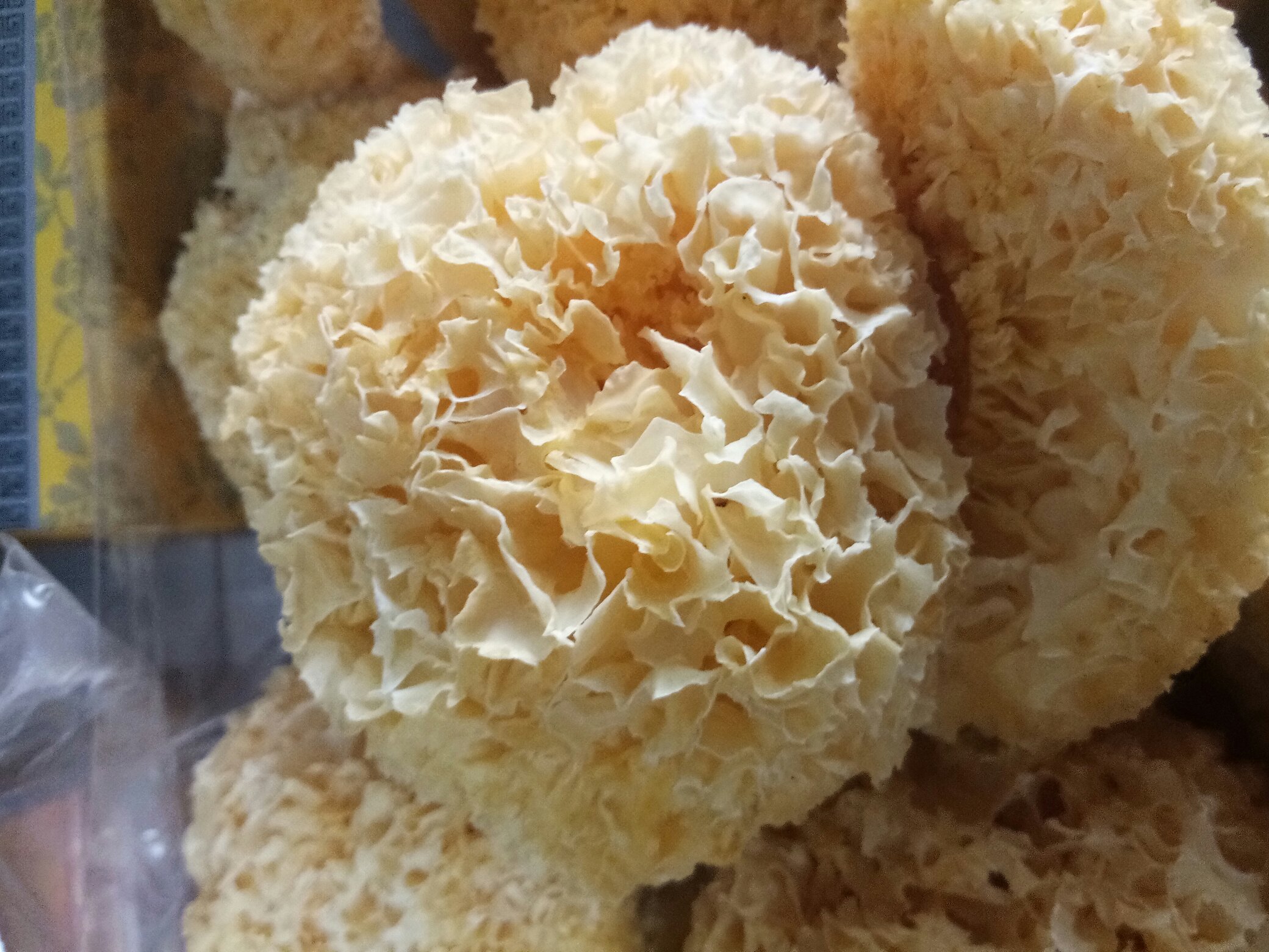 丑耳银耳特写