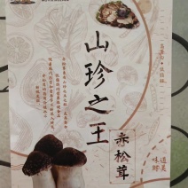 大球盖菇
