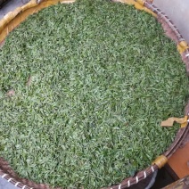 2019信阳毛尖已上市，高档明前茶，茶农自产自欢迎围观！