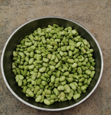 [大米批发]青蚕豆,青豆米价格8.50元/公斤 - 一亩田