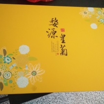 菊花茶