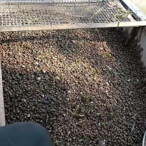 供应兴化螺丝
