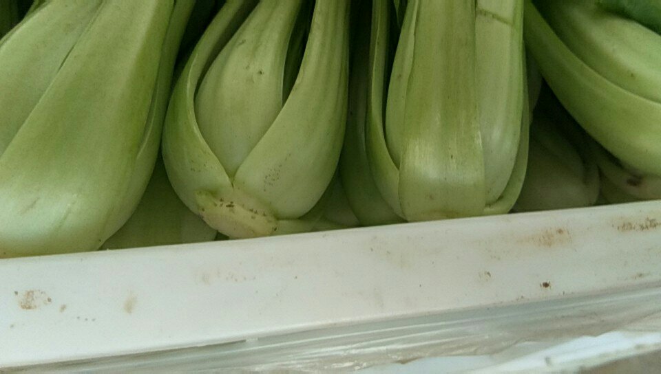 厨房冰箱内存放凉拌菜场景