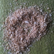 麦麸