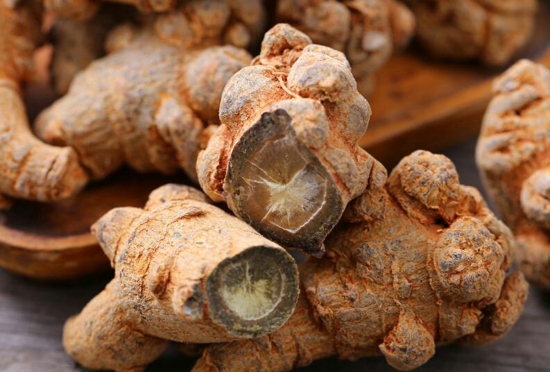 三七不同品种外形对比图