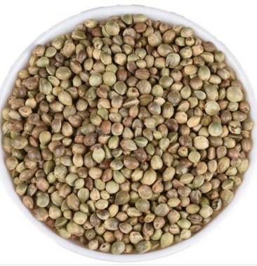 火麻仁麻子麻子仁火麻子中药材