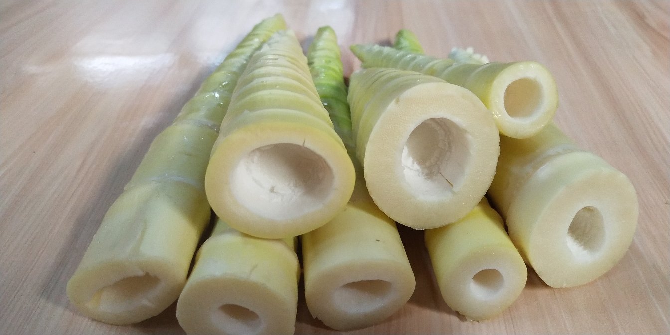 新鲜采摘的雷竹笋特写,展现其细长匀称的外形和淡黄色表皮 雷竹笋特写