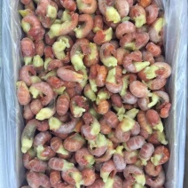 龙虾尾，小红龙