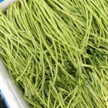 湖北荆州芦蒿