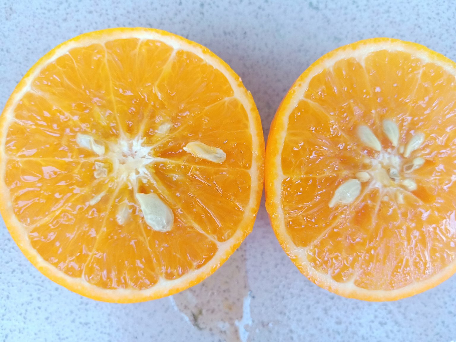 甜橙切开后的果肉结构,清晰可见是否有籽 甜橙切开展示果肉与籽的细节