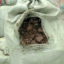 优质稻壳供应