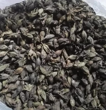 00元/公斤 - 一亩田