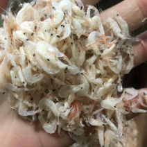 虾皮大